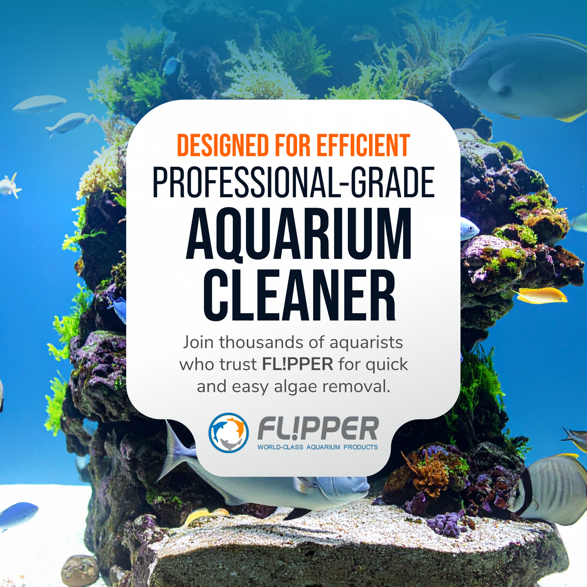 Flipper Edge Standard 2-in-1 Floating Magnetic Aquarium Cleaner