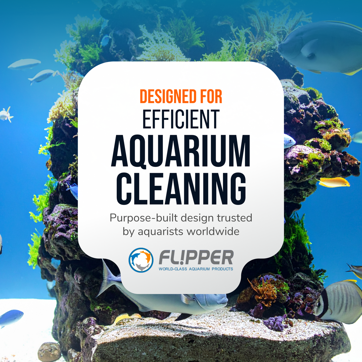 Flipper Platinum 18-Inch Aquarium Algae Scraper