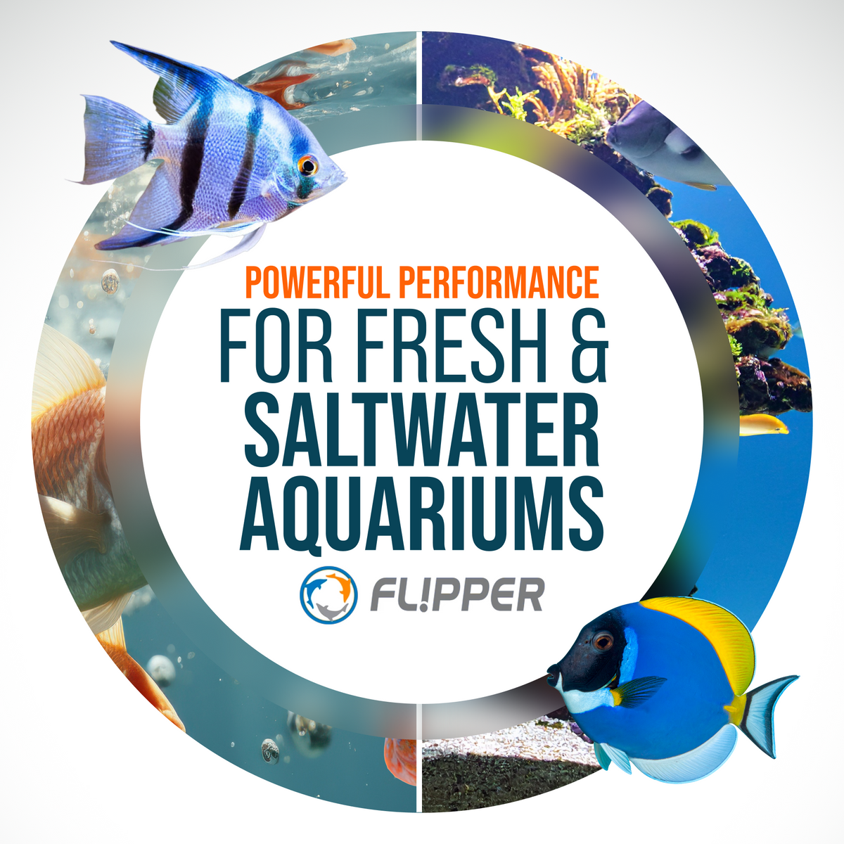 Flipper Pico Black 2-in-1 Magnetic Aquarium Cleaner
