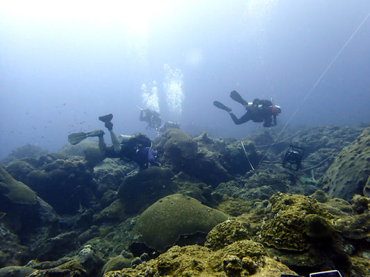Divers surveying benthic cover at Flower Garden Banks National Marine Sanctuary. Photo: Karl Teague, National Park Service. Source: NOAA/NCCOS.