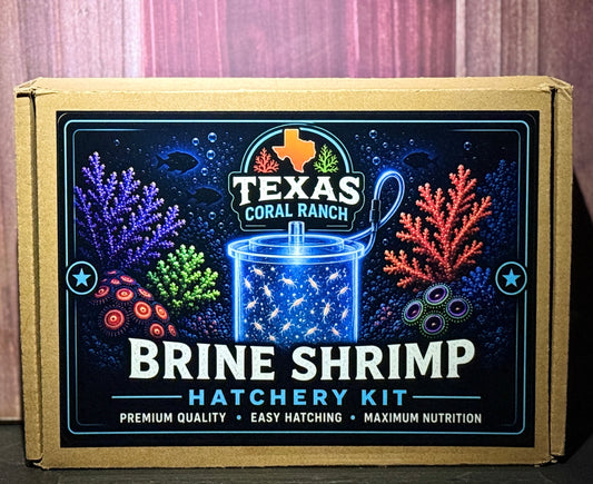 Brine Shrimp Hatchery