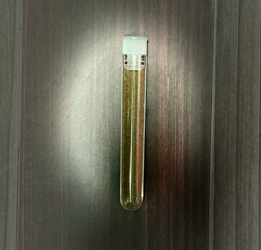 Brine Shrimp Eggs