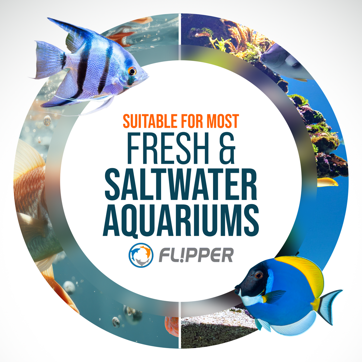 Flipper FLOAT Standard 2-in-1 Magnetic Aquarium Cleaner
