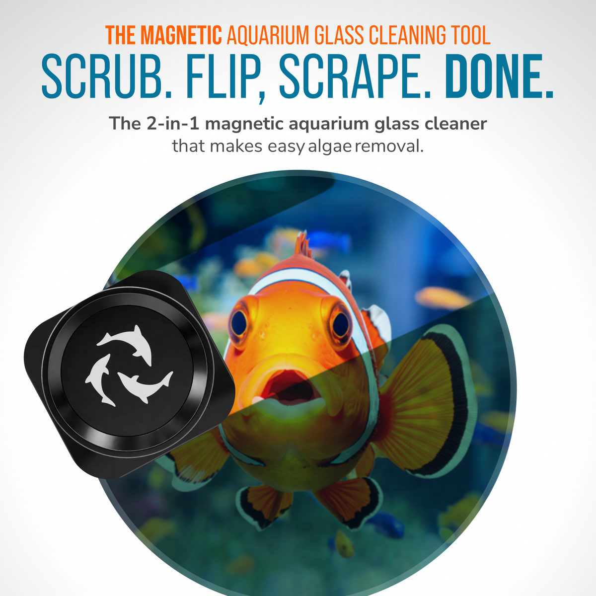 Flipper Pico Black 2-in-1 Magnetic Aquarium Cleaner