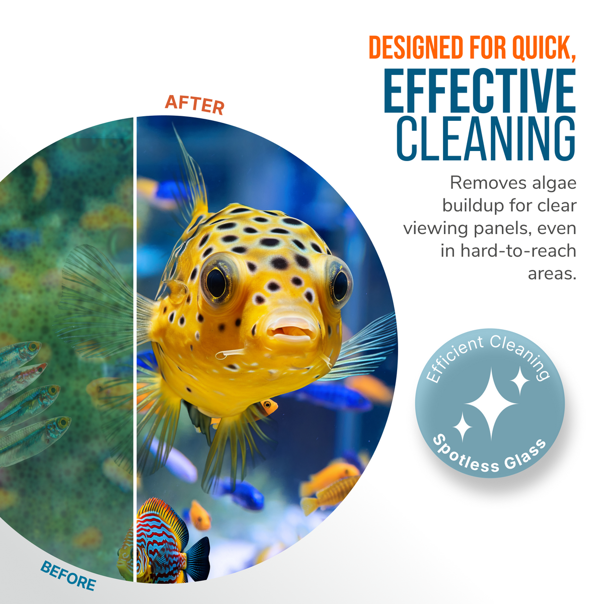 Flipper Pico Black 2-in-1 Magnetic Aquarium Cleaner