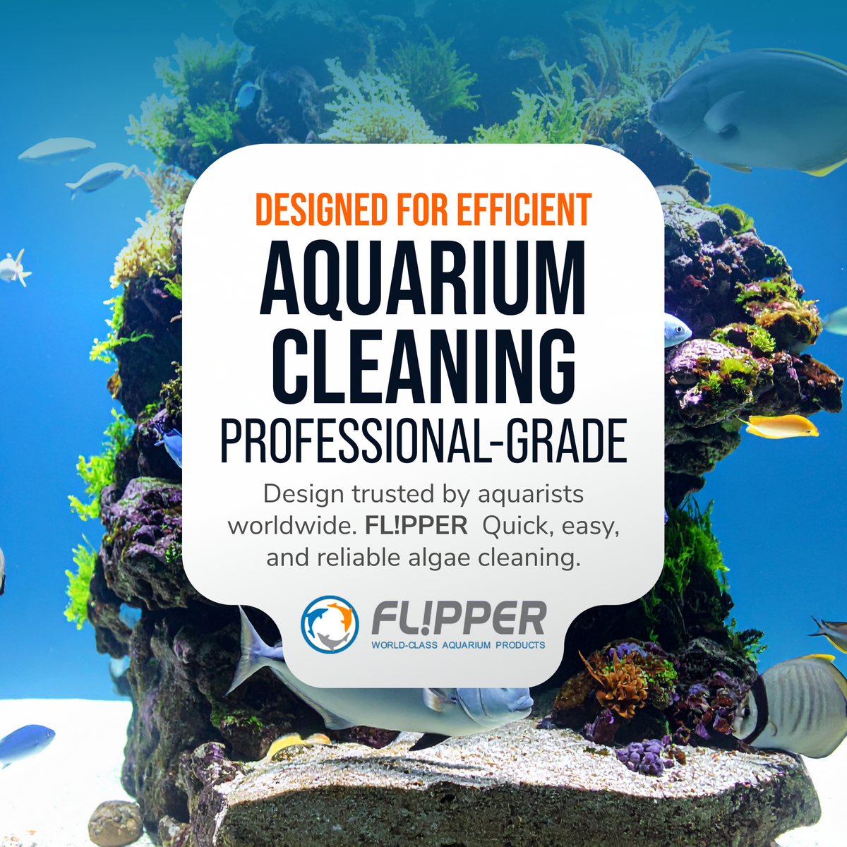 Flipper Pico Black 2-in-1 Magnetic Aquarium Cleaner