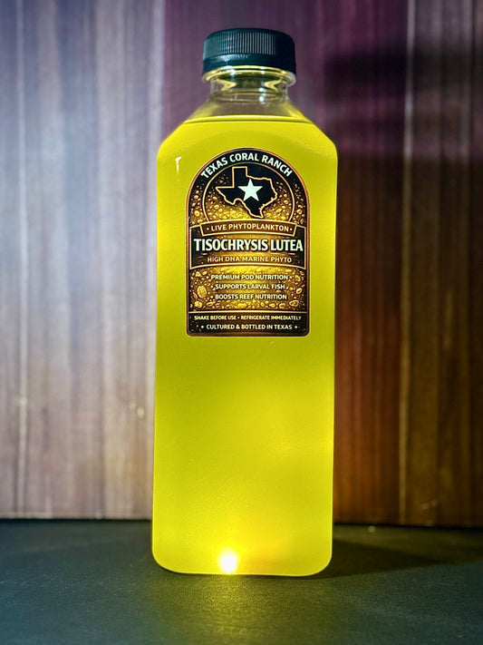 Tisochrysis Lutea