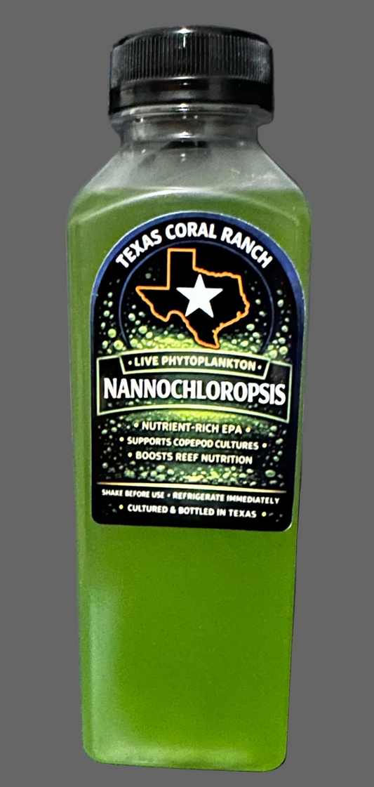 Nannochloropsis Oculata