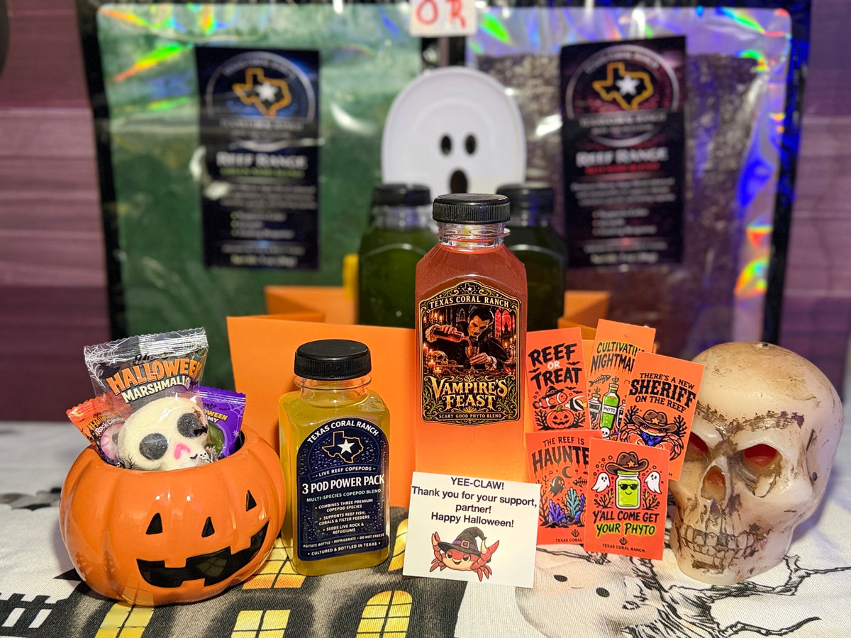 Texas Coral Ranch Week 2 Vampire's Feast Boo Basket shown with orange bags and stickers