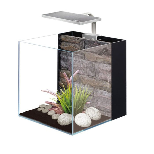 Dymax GS30 7 Gallon Cube Glass Aquarium