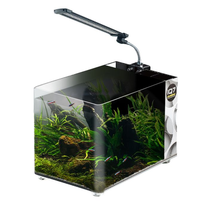 Dymax IQ7 5.2-Gallon Mini Acrylic Aquarium
