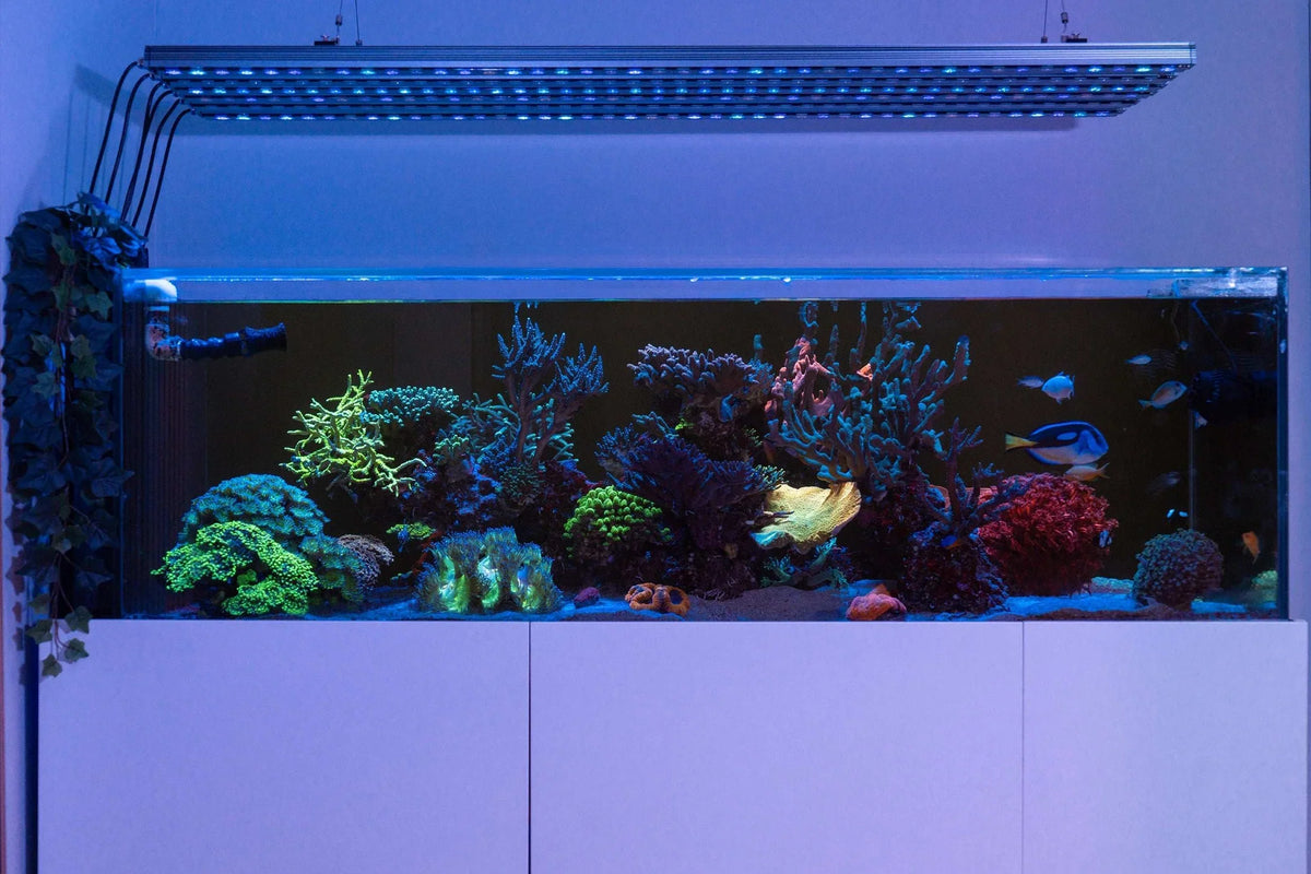 Orphek OR4 iCon Blue Sky Reef Aquarium LED Bar
