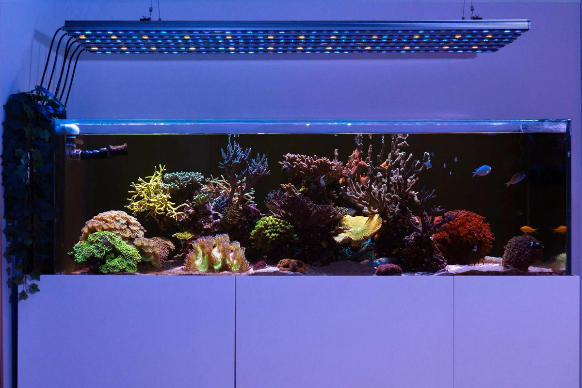 Orphek OR4 iCon UV/Violet Reef Aquarium LED Bar