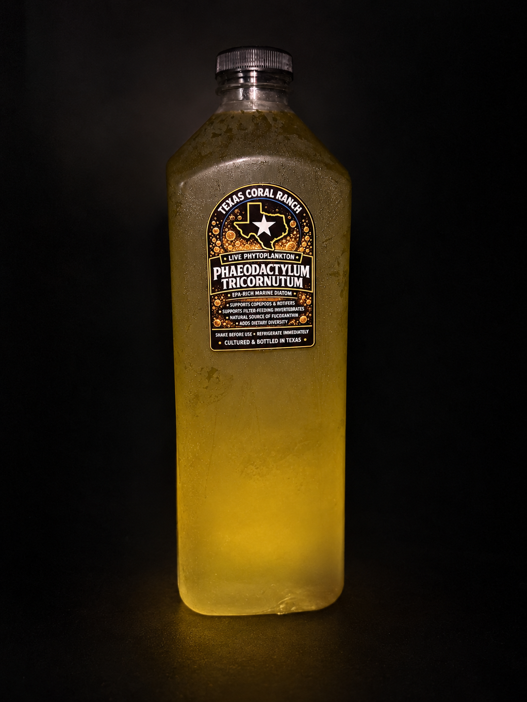 Texas Coral Ranch Phaeodactylum tricornutum live phytoplankton in a 64 ounce bottle