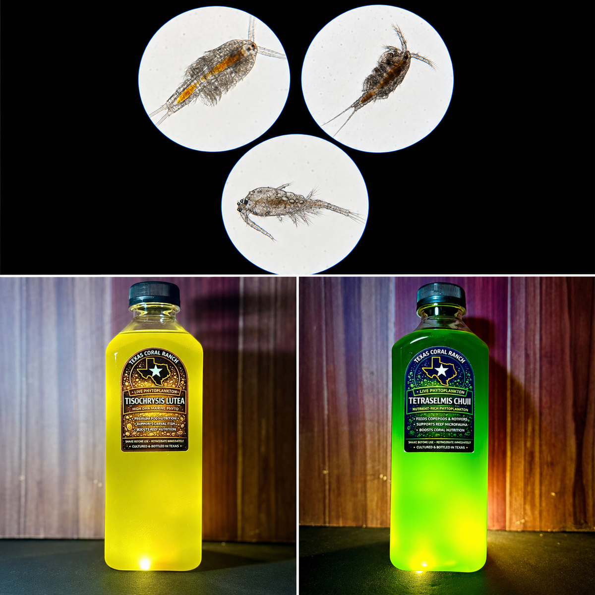 Three Pod Power Pack with Tisochrysis and Tetraselmis live phytoplankton