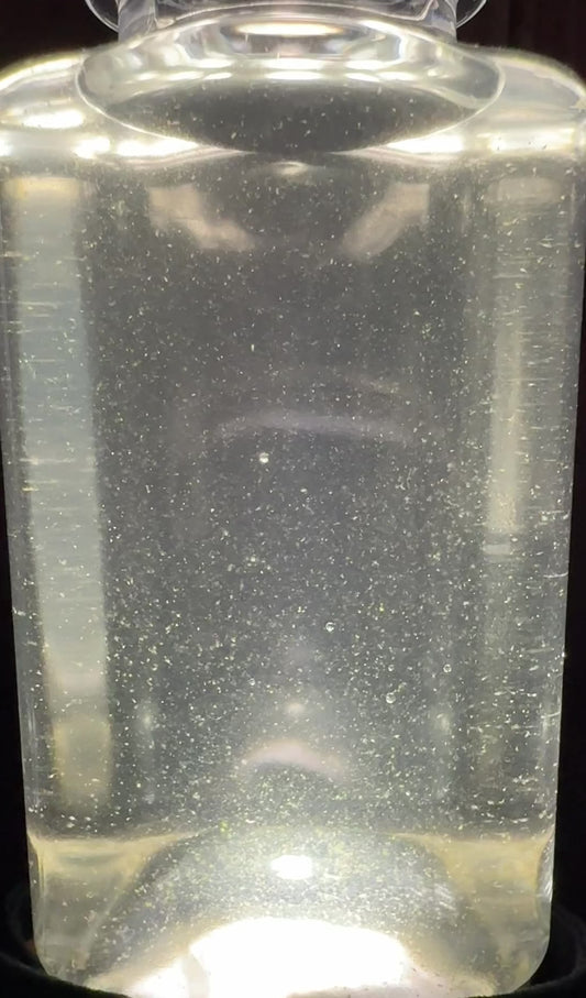 Tisbe Biminiensis Copepods
