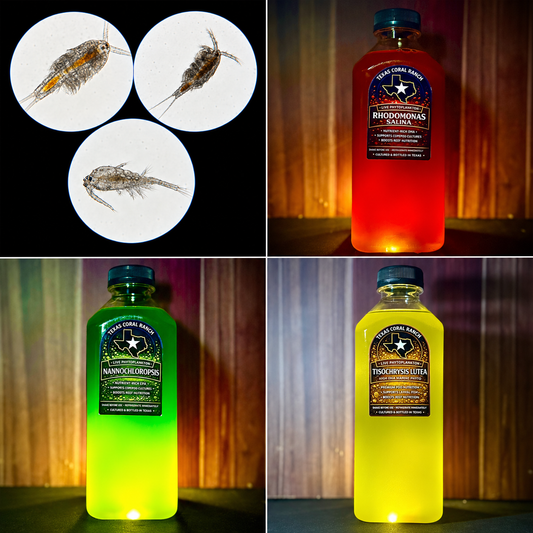Three Pod Power Pack and selectable live phytoplankton cultures